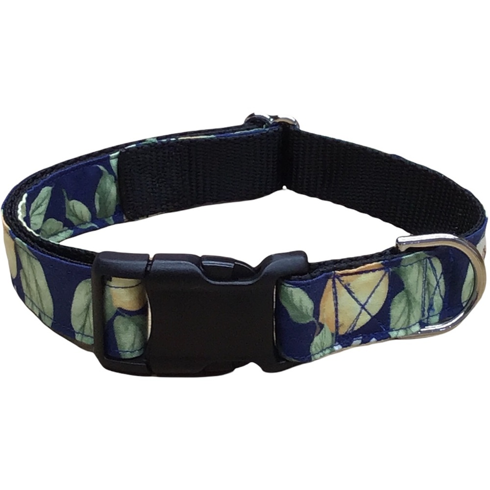 When Life Hands You Lemons Dog Collar - Chestnut Ridge Originals